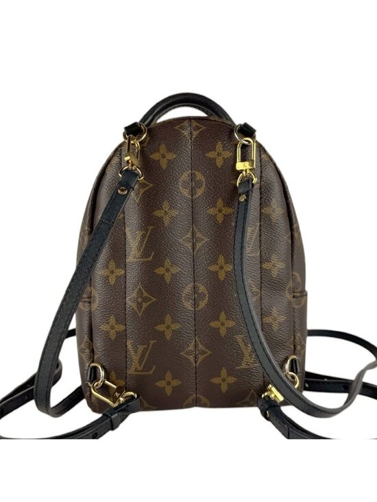 Louis Vuitton Backpack Palm Spring Mini main image 6